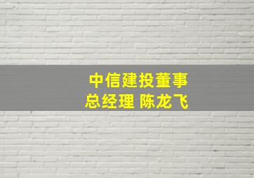 中信建投董事总经理 陈龙飞